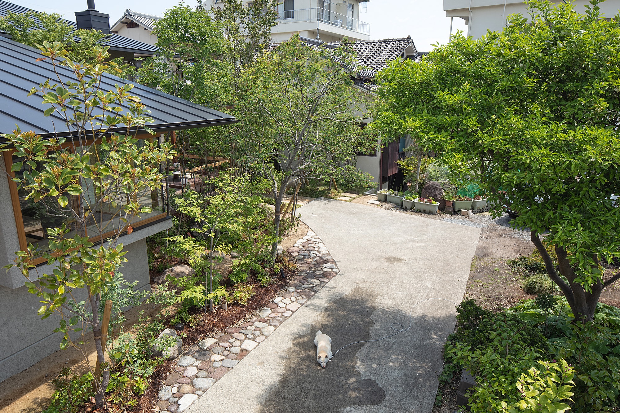 別府の家の建築写真