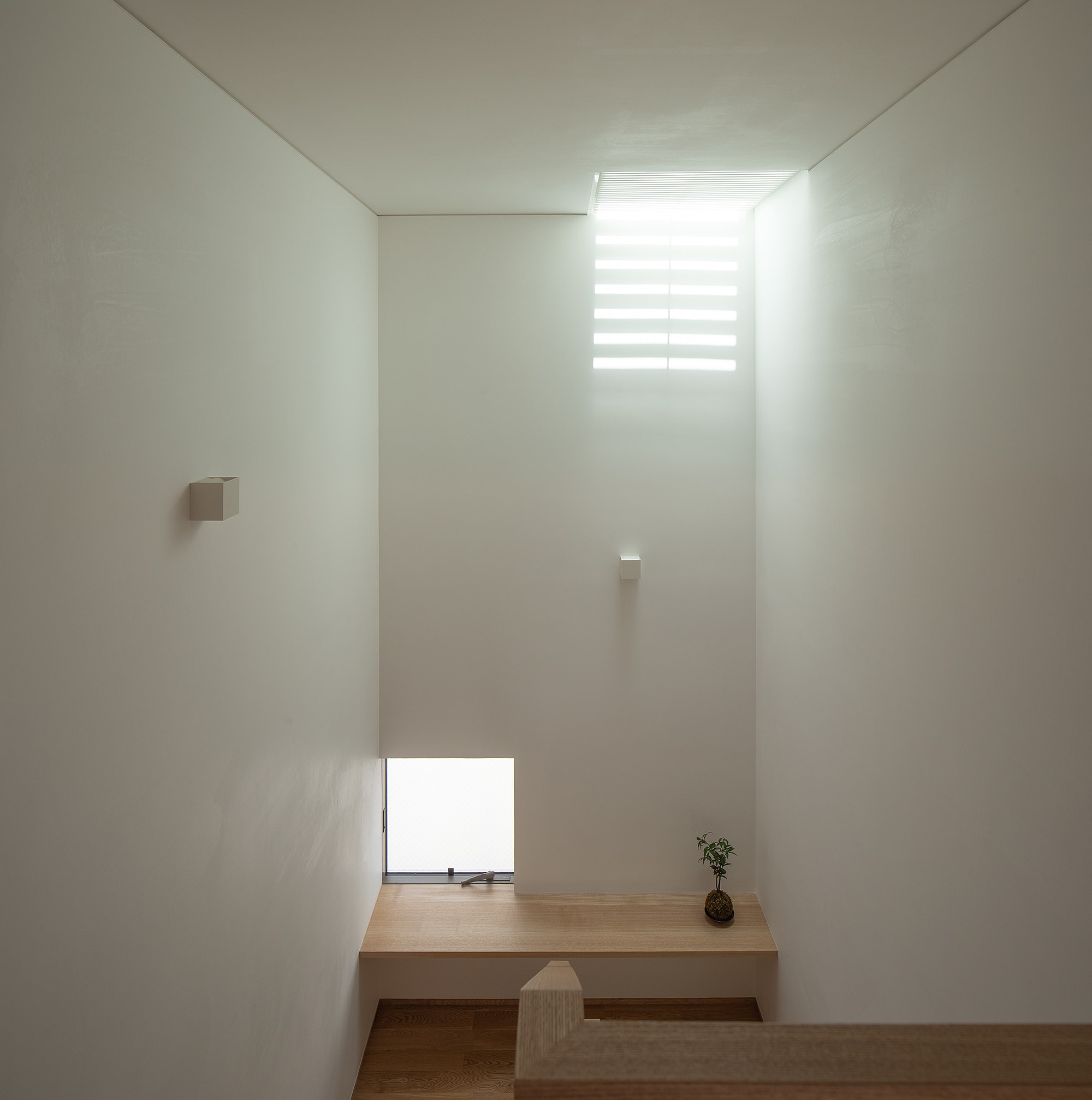 別府の家の建築写真