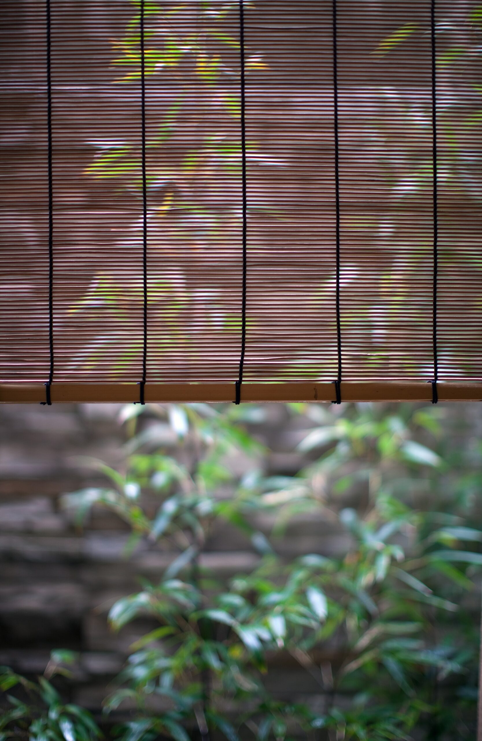 茶室 澄洽庵の建築写真