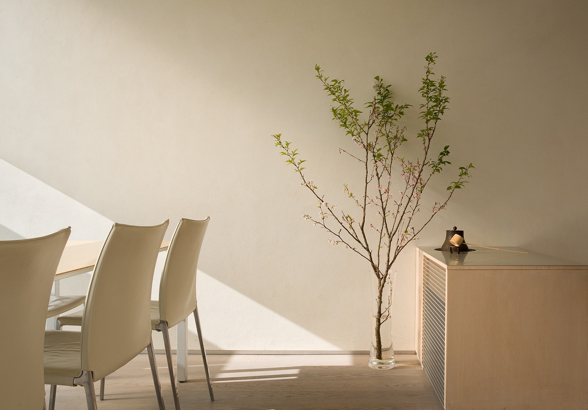聴雨庵の建築写真