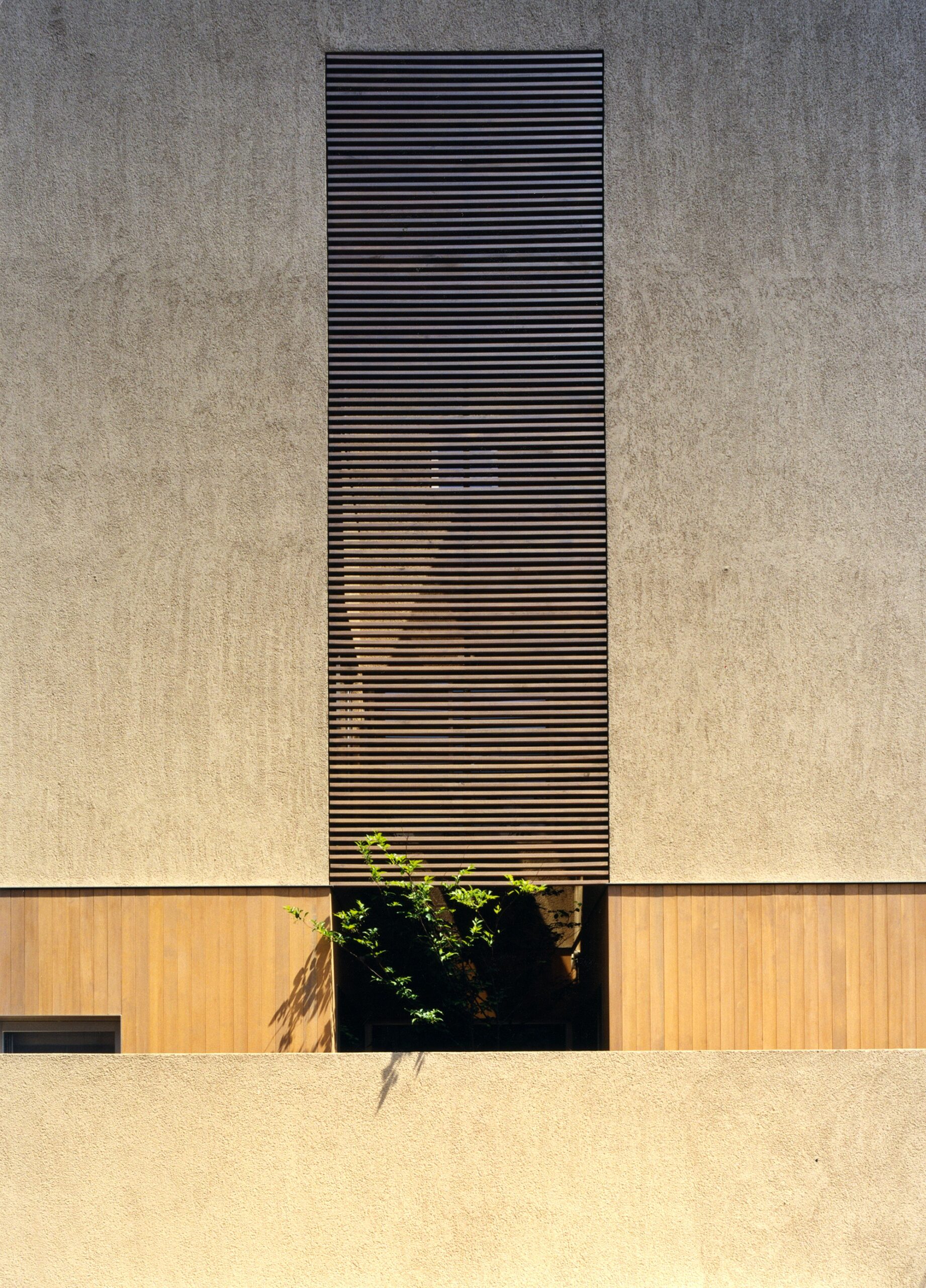小笹の家の建築写真